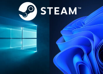 windows 11 SO mas usado