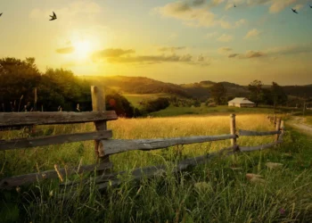 Sin tecnología, Colombia pierde el 40% de su potencial agrícola