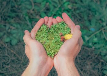 Sustentabilidad silenciosa: hechos que valen más que las palabras